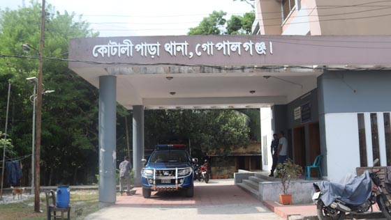 image-here